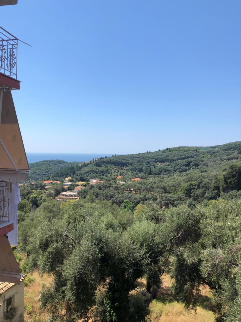 Апартаменты Spyridonou House Парга